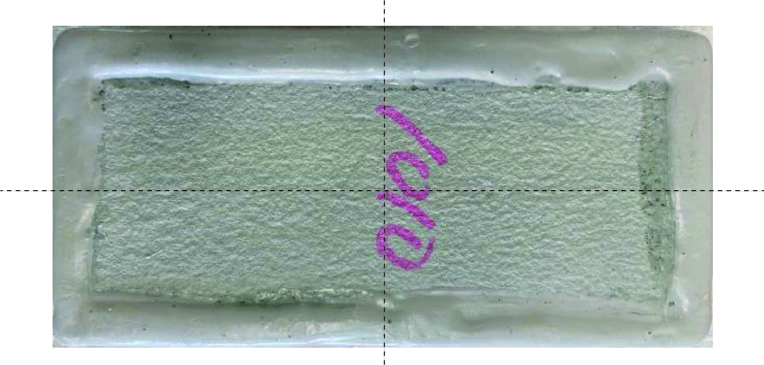 中性化試験ライン入 中性化試験ライン入