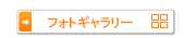 フォトギャラリー